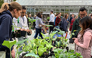 people gathered around a table with potted plants on top, with other plant sale shoppers in the background